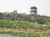 ķ羰