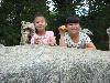 2011һݳǹ԰