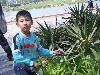 ԰Ļ