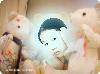 doudou