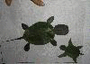 ҵҶƷ