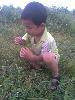 ݵϵС