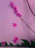 ӿֳɳļ
