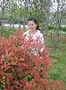 sweety