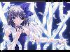 ӣ俪