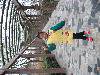 ҵĳɳ
