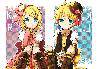 ˫