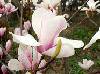 ҵ