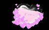 valentine day