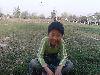 2013괺԰