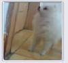 ǰһë~