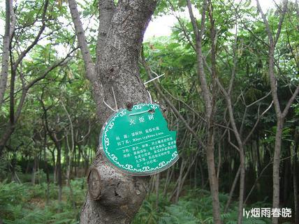 诗意生活:行走在洛阳隋唐遗址植物园