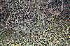 Ĭ