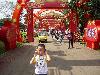 2013괺ں԰