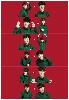 exo