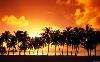 the setting sun