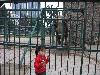 zoo-2010
