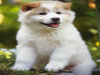 Ĭ