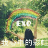 EXOxe
