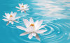 ˮܽأȻȥΡ