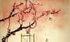 ŴϢ,羰