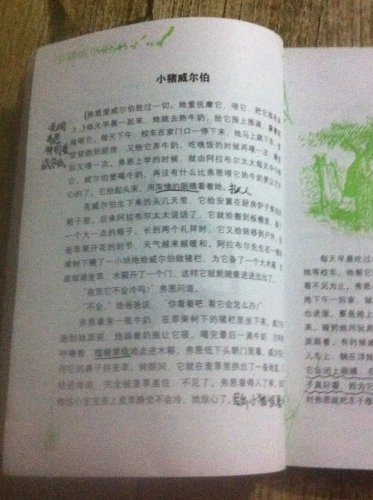 师生共读《夏洛的网》
