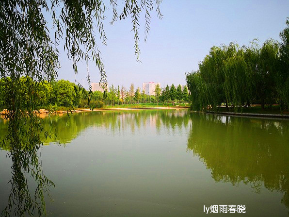 河南科技大学夏日美景