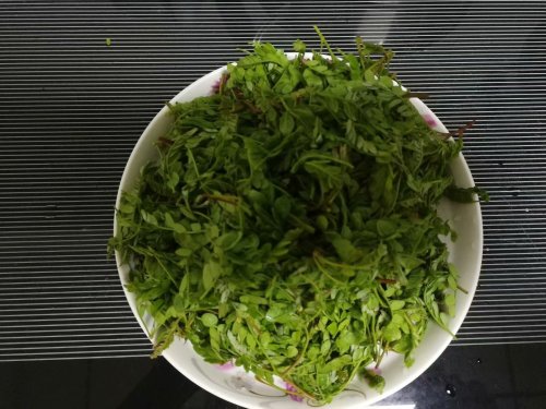 舌尖上的春天(四)——葛针芽菜合