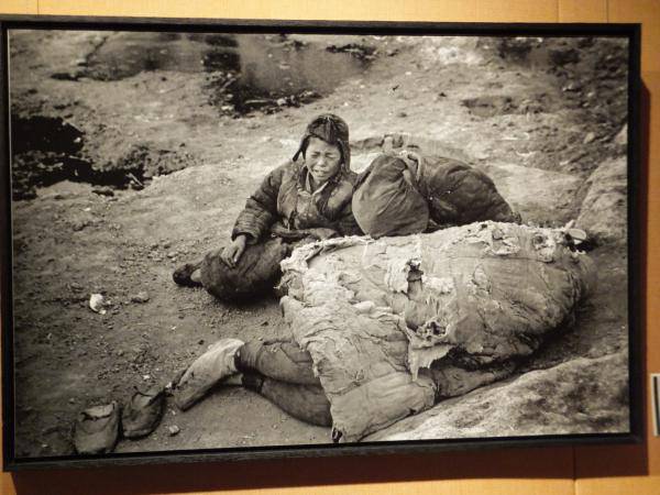 1942*河南*300万——我们不能不知道的历史