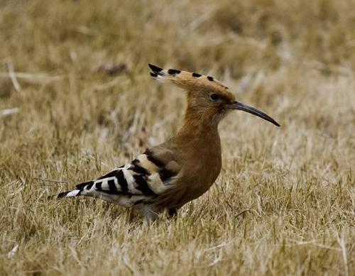 我们的"朋友"-轻扬快乐卢清阳-轻扬快乐-校讯通博客