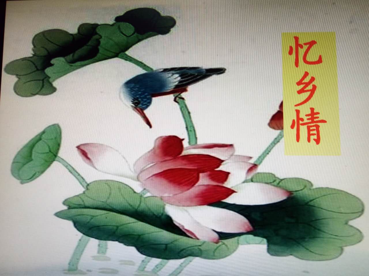 四(13)语文综合性实践——乡情