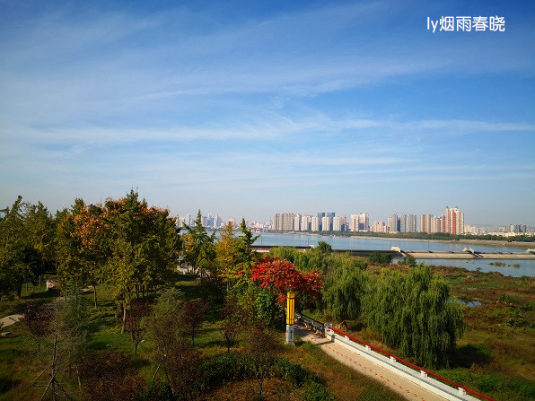 洛阳洛浦公园里坊区秋色美艳无比